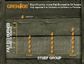 Grenade Thermo Detonator Thermogenic Weight Management Capsules