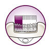 Extra-wide epilation head