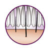 Unique epilator tweezers