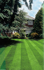 The Bosch Rotak 40&rsquo;s rear roller gives you professional  looking stripes on your lawn