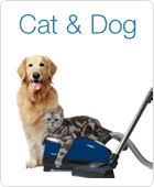 Cat & Dog