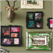 Photo Accessories