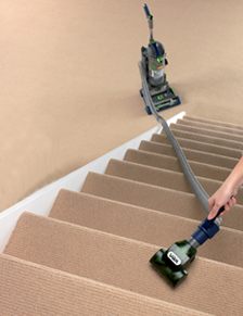 Long Reach Stair Hose