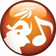 Sounds of the African jungle