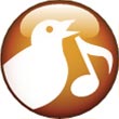 Sound choice of morning birds
