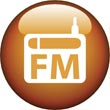 Digital FM radio