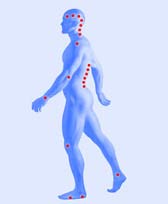 magnetic fields on body