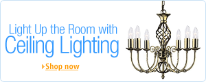 Light Up the Room with Ceiling Lighting