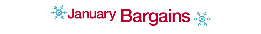 January Bargains