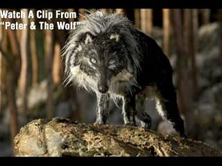 Click to watch this video