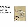 Steve Winwood - Revolutions