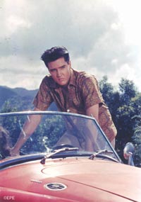 Elvis