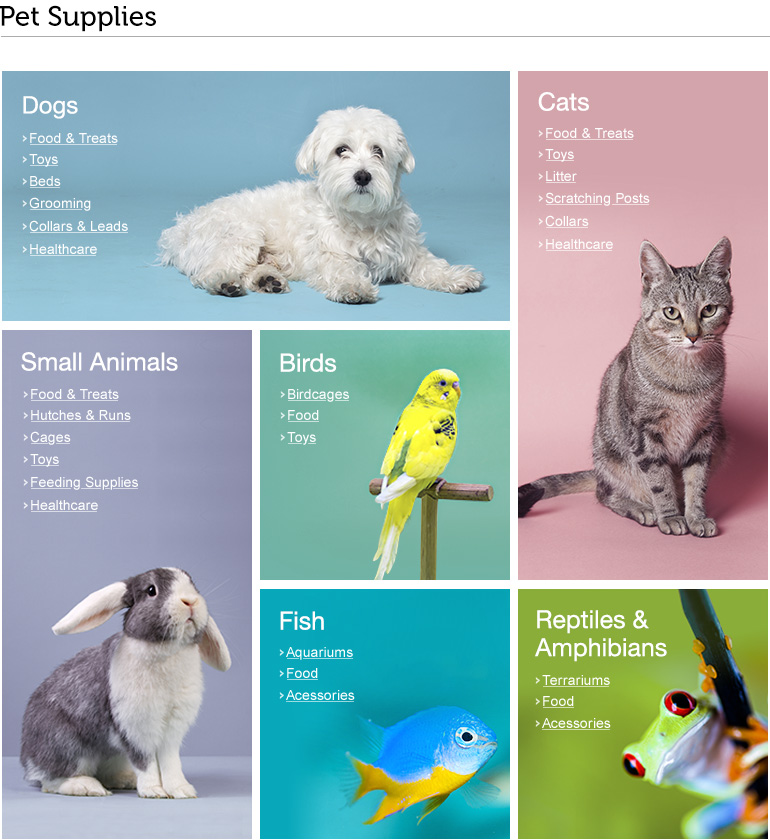 Pet Festival Categories