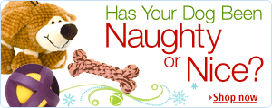 Has Your Dog Been Naughty or Nice?--Shop Gifts for Dogs