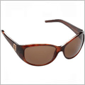 Sunglasses, Ray Bans, Raybans, Sun Glasses, Fendi, Calvin Klein, Nike, Fossil