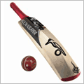 Sports - Team Sports - Cricket