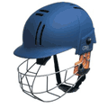 Fantastic cricket range