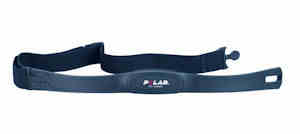 T31 Transmitter Belt