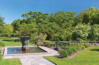 Redesign your garden  