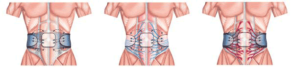 Diagram showing signals sent from the pads stimulating the nerves, which activate muscles to contract and relax