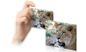 Essential stabilisation for all shooting situations