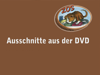 Klicken, um dieses Video zu sehen