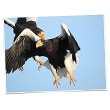 Nikon_COOLPIX_P900_VR