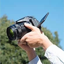 Nikon_ COOLPIX_P900_ Monitor