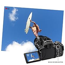 Nikon_ COOLPIX_P900_Sensor