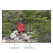 Nikon_D720_Bildfeldoption_1,3x