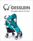 Gesslein