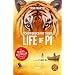 Die Welt von 'Life of Pi'