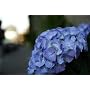 Tamron AF 17-50mm 2,8 XR Di II LD ASL digitales Ob&hellip von Tamron