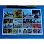 Waltz with Bashir (Limited Edition) <b>DVD</b> ~ Ari Folman