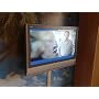 Panasonic TX 32 LX 6 F 81,3 cm (32 Zoll) 16:9 HD-R&hellip von Panasonic
