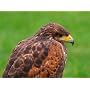 Olympus E-3 SLR-Digitalkamera Geh�use (10 Megapixe&hellip von Olympus