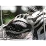 Panasonic Lumix DMC FZ 18 EG S Digitalkamera (8,1 &hellip von Panasonic