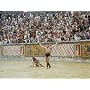 Die letzten Tage von Pompeji (3 DVDs) <b>DVD</b> ~ Peter H. Hunt