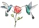Codename Kolibri