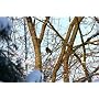 Canon EF 70-300mm 1:4,0-5,6 IS USM  Objektiv (58 m&hellip von Canon