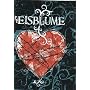 Unter dem Eis von Eisblume