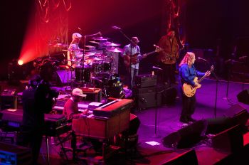 Warren Haynes