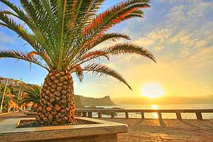 Madeira