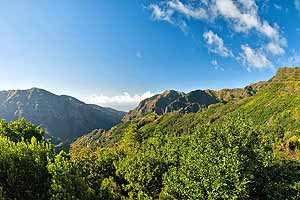 Madeira