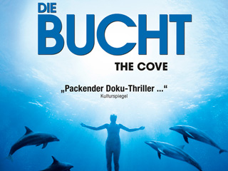 Klicken, um dieses Video zu sehen