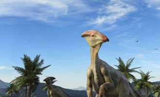 Sea Rex