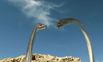 Sea Rex