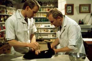 Der Doktor und das liebe Vieh - Staffel 4