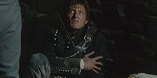 Die Scharfsch&uuml;tzen - Wolfsjagd