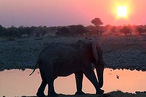  Afrika 
